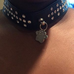 Accessories/Dog collar